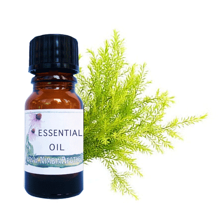 Nimbin apothecary sells Tea tree oil online, medicinal and antiseptic used for cleaning too