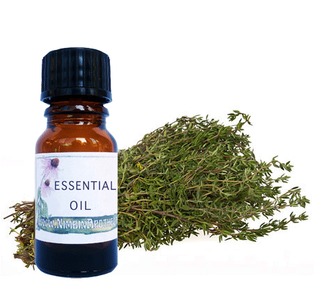 Nimbin apothecary sells thyme oil online, antiseptic oil