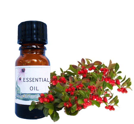 Nimbin apothecary sells wintergreen oil online, for aching joints and muscles