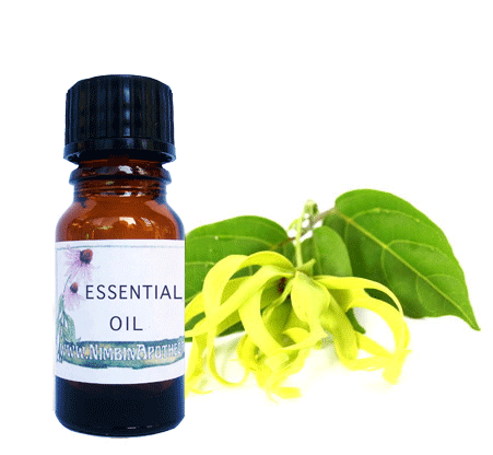 Nimbin apothecary sells Ylang Ylang oil online, relaxing scented oil