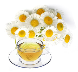 Nimbin apothecary sells organic chamomile flowers online, to help digestion and relaxation.
