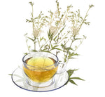 Nimbin apothecary sells meadowsweet leaves online, soothing inflammation of gastrointestinal tract