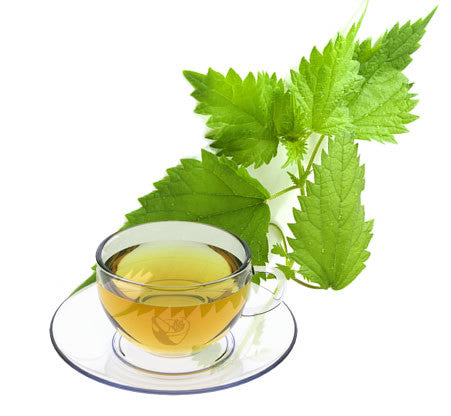 Nimbin apothecary sells nettle leaves online, a strengthening herb rich in iron.