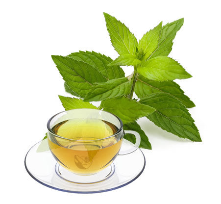 Nimbin apothecary sells organic peppermint leaves online, to aid digestion and relieve nausea