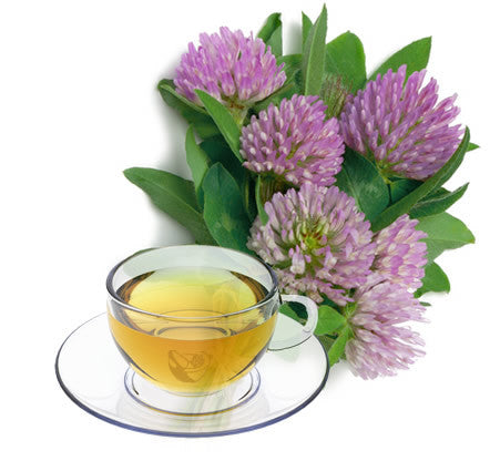 Nimbin apothecary sells red clover flowers online, good for detoxification