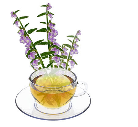 Nimbin apothecary sells organic skullcap leaves online, good for relieving anxiety