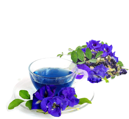 Butterfly Pea Flower