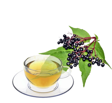 Elderberries