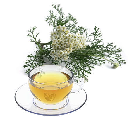 Nimbin apothecary sells organic yarrow flowers online, good for colds and skin disorders